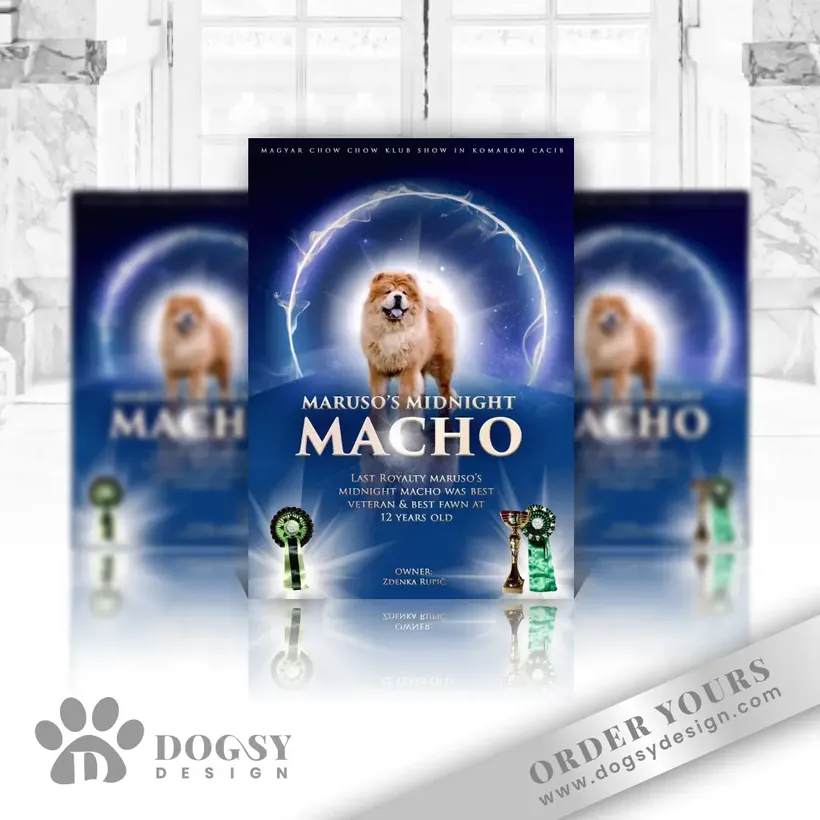 Midnight Macho show poster by Dogsy Design
