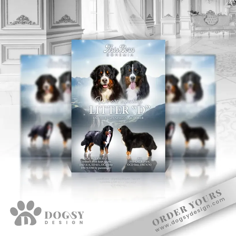 Bernese litter poster by Dogsy Design